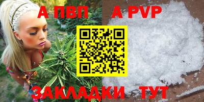 шишки Обь