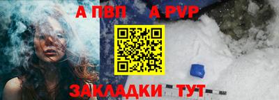 шишки Обь